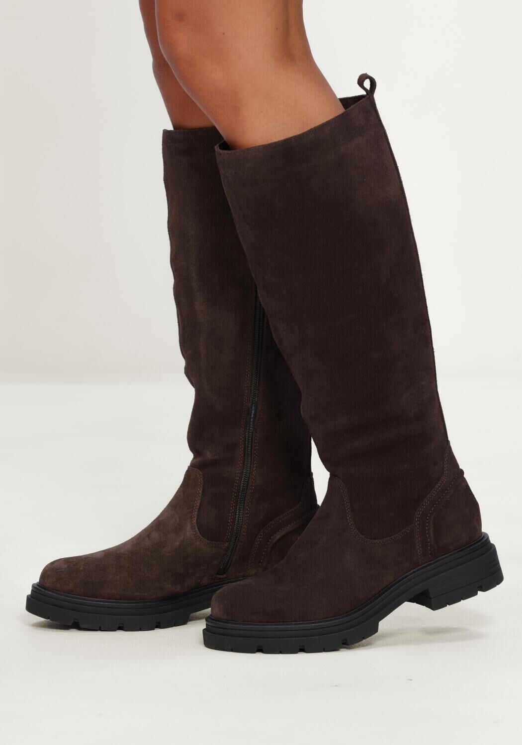 Bruine BLASZ  JAE-15 - large