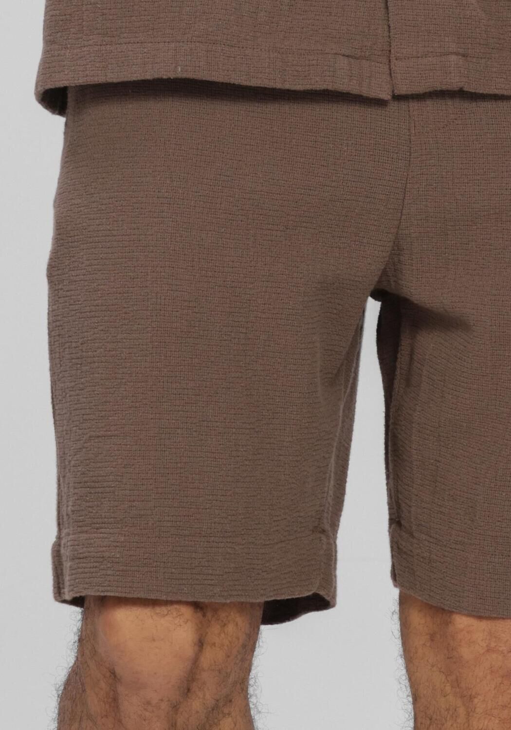 SELECTED MEN SLHREGCAL SHORTS Pantalons en marron - large