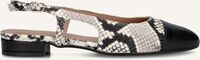 Beige NOTRE-V  08-490 - medium