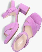 GABOR 953 Sandales en violet - medium