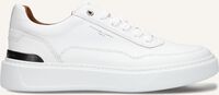 Witte STEFANO LAURAN Sneakers STAR 001 - medium