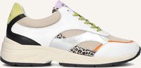 Multi PIEDI NUDI Sneakers ZERBA 02.13 - medium