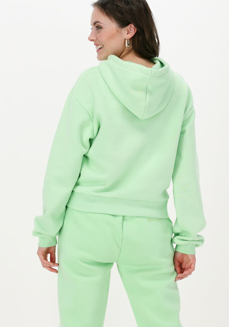 Groene NA-KD Trui ORGANIC LOGO BASIC HOODIE - large