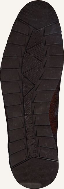 Cognac HARRIS Sneakers CARDIFF Cognac HARRIS Sneakers CARDIFF - large