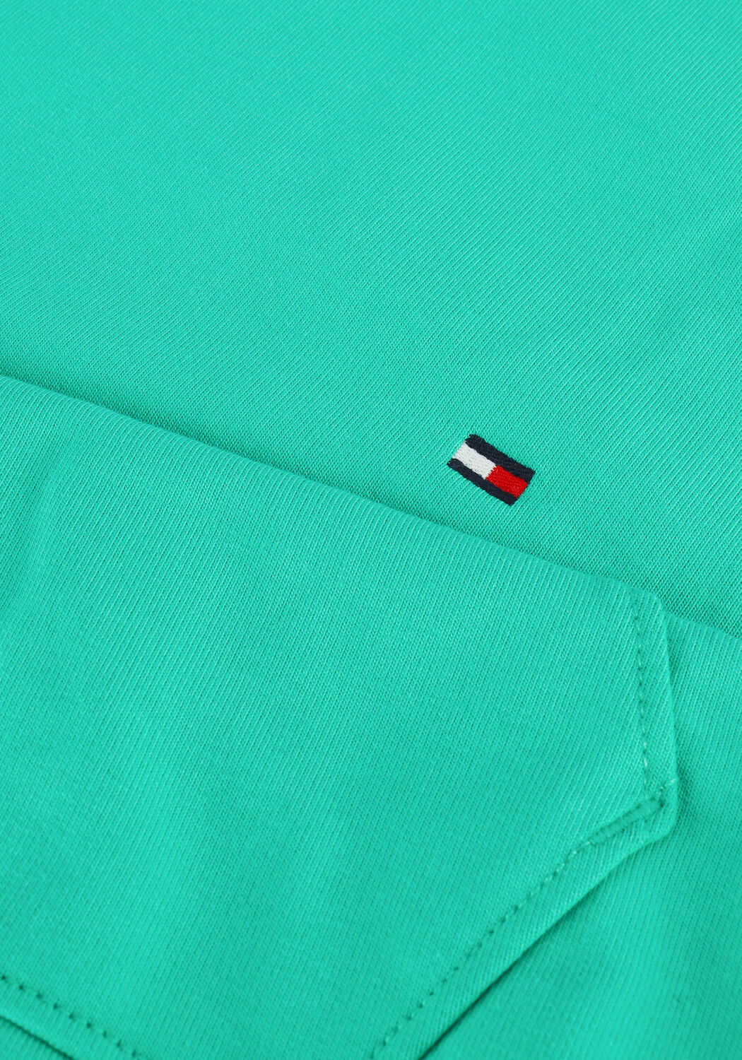 TOMMY HILFIGER Chandail 1985 HOODY en vert - large