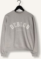 Grijze DEBLON SPORTS Sweater CIA SWEATER Grijze DEBLON SPORTS Sweater CIA SWEATER - medium