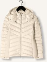 Witte BEAUMONT Jack DEVI Witte BEAUMONT Jack DEVI - medium