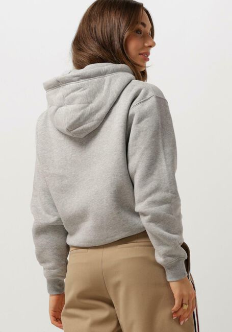 TOMMY HILFIGER Chandail REG VARSITY FLOCK HOODIE Gris clair - large