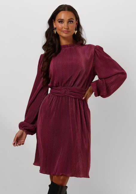 FREEBIRD Mini robe DALEA MINI en rose - large