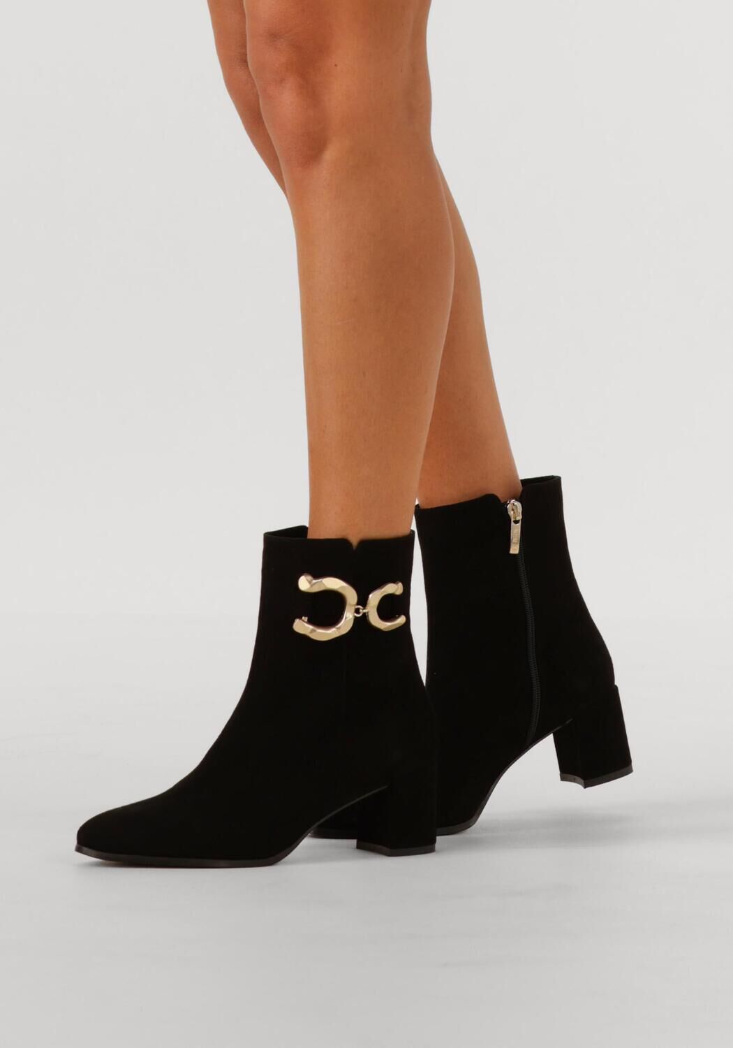 Zwarte NOTRE-V Enkellaarsjes 8558 - large