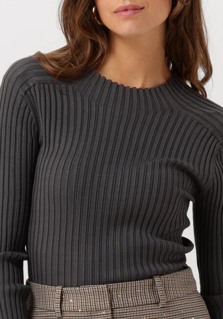 Grijze AAIKO Tops & T-shirts BENTE VIS 300 - large