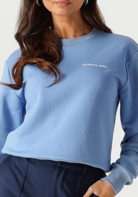 COLOURFUL REBEL Chandail LOGO CIRCLE RELAXED SWEAT Bleu clair - large