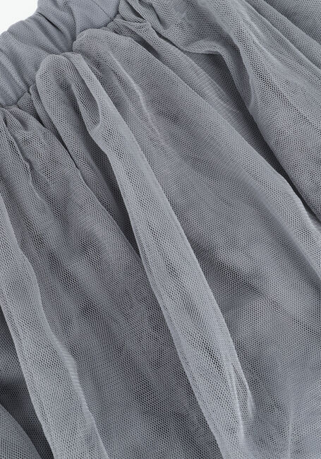 CARLIJNQ Jupe plissée DRAGONFLY - TUTU en gris - large