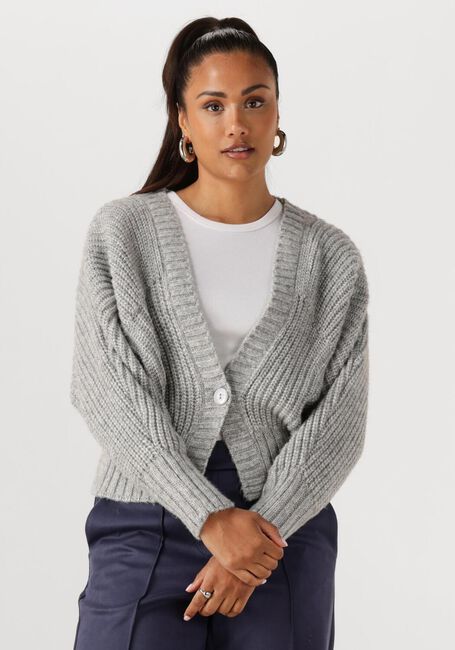 NUKUS Pull JOLIJN CARDIGAN en gris - large