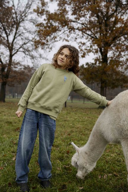 AMMEHOELA Chandail ROCKY en vert - large