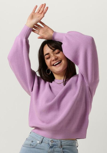 Paarse MSCH COPENHAGEN Trui MSCHACENTIA RACHELLE PULLOVER - large