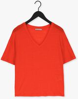 DRYKORN T-shirt SVENNIE en orange