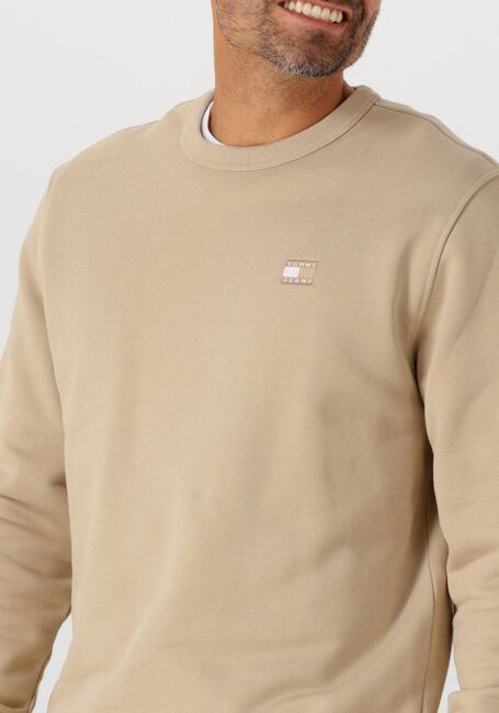 Beige TOMMY JEANS Trui TJM REG BADGE CREW EXT - large