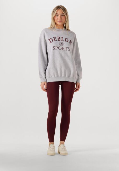 Lichtgrijze DEBLON SPORTS Sweater LILOU SWEATER - large