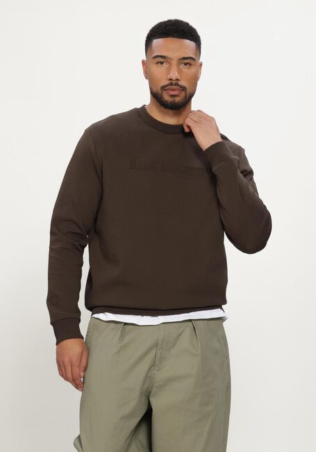 Bruine BLUE INDUSTRY Sweater SWEATER - large