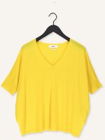 Gele NOT SHY Trui AIMEE Gele NOT SHY Trui AIMEE - medium