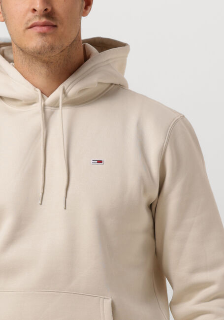 Beige TOMMY JEANS Sweater TJM REGULAR FLEECE HOODIE - large