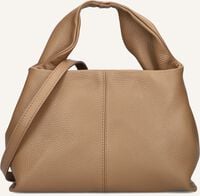 NOTRE-V POLLY - medium