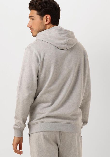Grijze SCOTCH & SODA Truien/vesten LOGO HOODIE - large