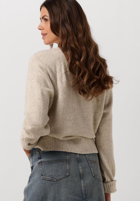 TOMMY JEANS Pull TJW MELANGE FLAG SWEATER en marron - large