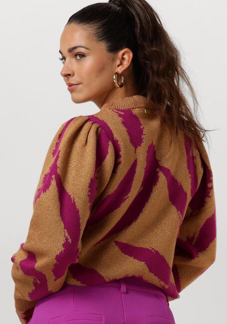 POM AMSTERDAM Pull PULLOVER - FEATHERS SPARKLE en marron - large