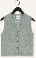 Groene MY ESSENTIAL WARDROBE Spencer LAGO KNIT VEST Groene MY ESSENTIAL WARDROBE Spencer LAGO KNIT VEST - medium