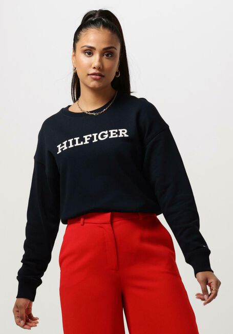 Blauwe TOMMY HILFIGER Sweater REG MONOTYPE EMB SWEATSHIRT - large