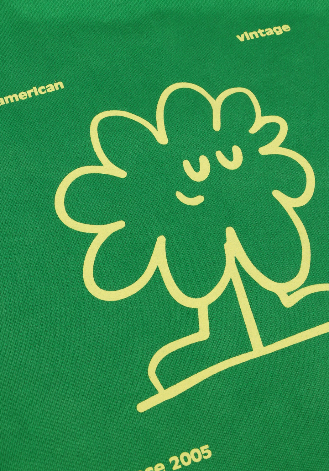 Groene AMERICAN VINTAGE T-shirt FIZVALLEY - large