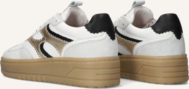 NOTRE-V ANEMONE-63 NOTRE-V ANEMONE-63 - large