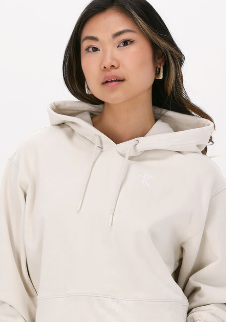 CALVIN KLEIN Chandail TWO TONE MONOGRAM HOODIE Blanc - large