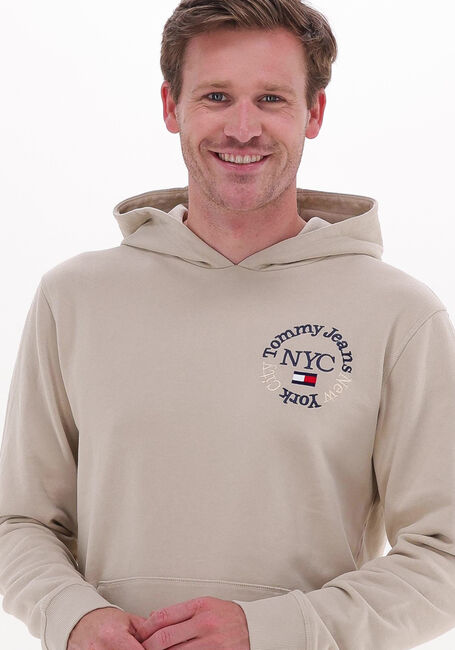 TOMMY JEANS Chandail TJM TIMELESS CIRCLE HOODIE Sable - large