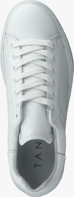 Witte TANGO Lage sneakers CHANTAL 12 - large