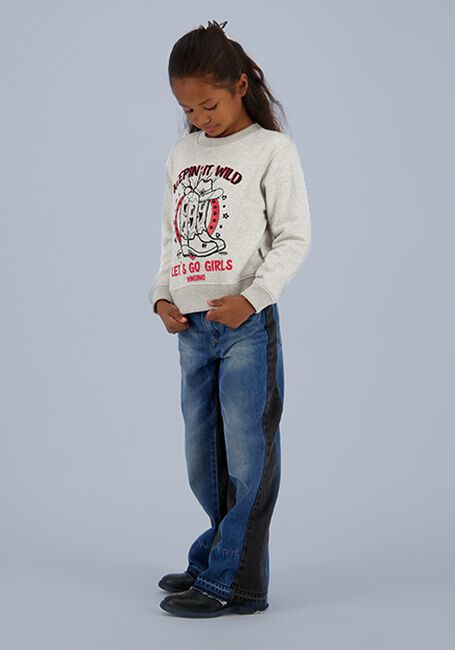 Lichtgrijze VINGINO Sweater NOAH Lichtgrijze VINGINO Sweater NOAH - large