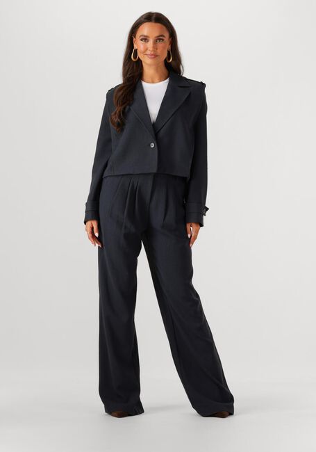 Donkerblauwe CO'COUTURE Pantalon MARIN PLEAT LONG PANT - large