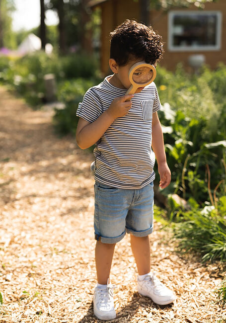 Grijze KOKO NOKO T-shirt T46875 - large