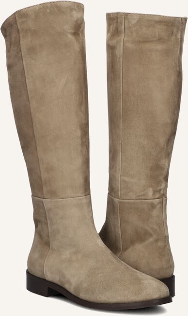 Taupe NOTRE-V  3496 Taupe NOTRE-V  3496 - large