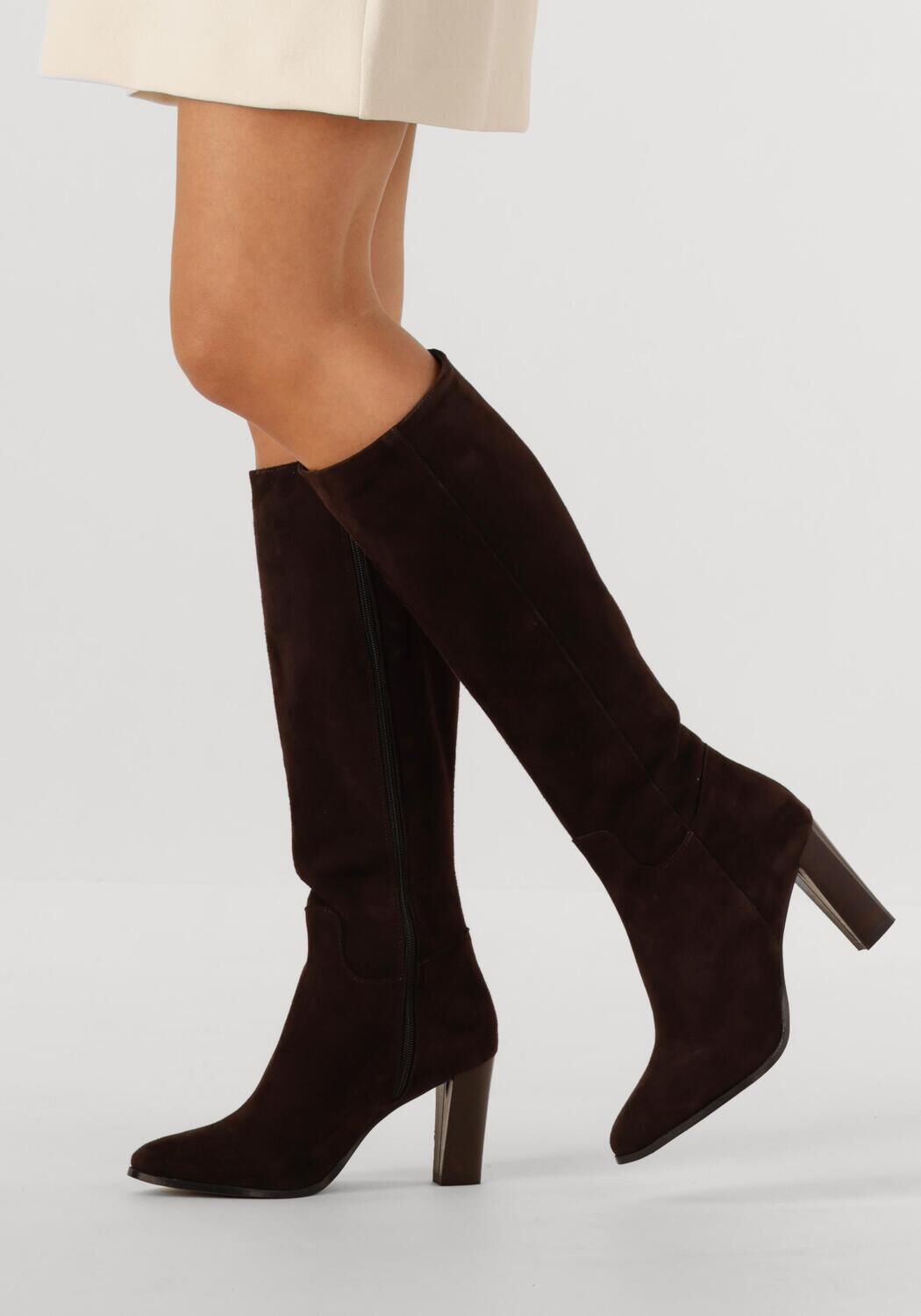 Bruine NOTRE-V  97490 - large