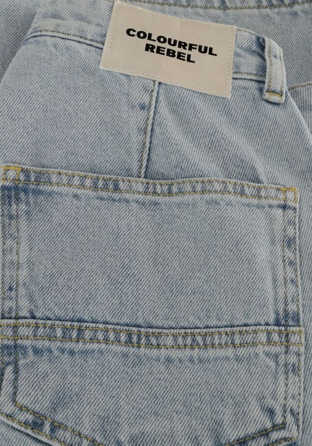 Blauwe COLOURFUL REBEL Wide jeans TINSLEY DENIM WORKER PANTS Blauwe COLOURFUL REBEL Wide jeans TINSLEY DENIM WORKER PANTS - large