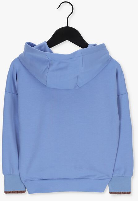 Blauwe NONO Sweater N208-5307 - large