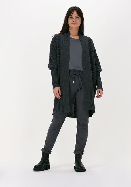 Grijze SIMPLE Vest ICE - large