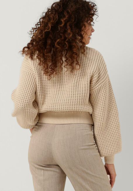SELECTED FEMME Col roulé BIRTHA KNIT LS ROLLNECK Sable - large