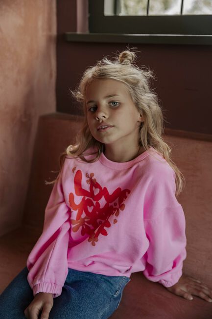 AMMEHOELA Chandail AM-ROXY-01 en rose - large