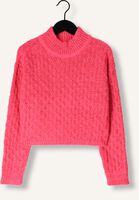 Roze AMMEHOELA Trui JENNY Roze AMMEHOELA Trui JENNY - medium
