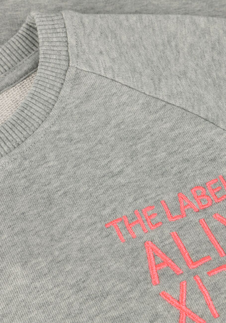 Grijze ALIX MINI Mini jurk KNITTED SWEATDRESS - large