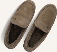 WARMBAT EARLWOOD WARMBAT EARLWOOD - medium